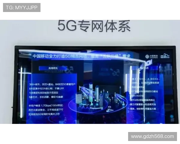 北京羽毛球队运营革新全景解析助力体育发展新局面 北京羽毛球队运营革新全景解析助力体育发展新局面