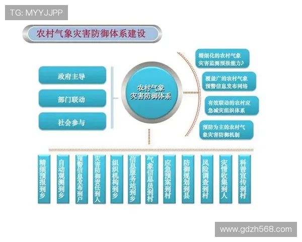 北京排球队防守体系解析与战术运用探讨