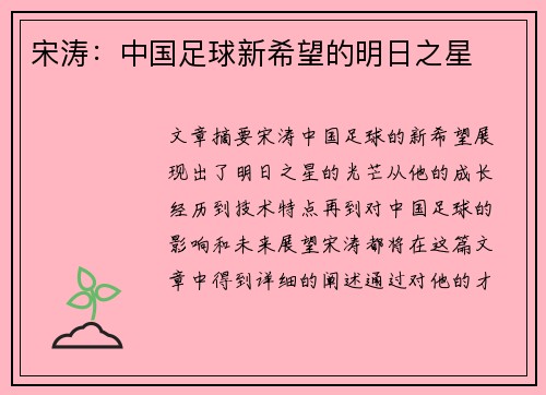宋涛：中国足球新希望的明日之星