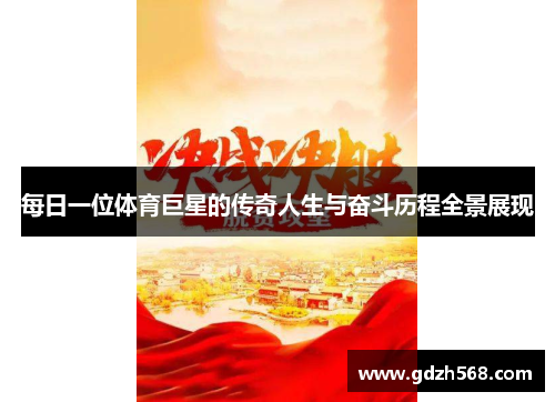 每日一位体育巨星的传奇人生与奋斗历程全景展现