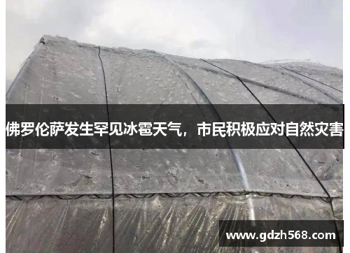 佛罗伦萨发生罕见冰雹天气，市民积极应对自然灾害