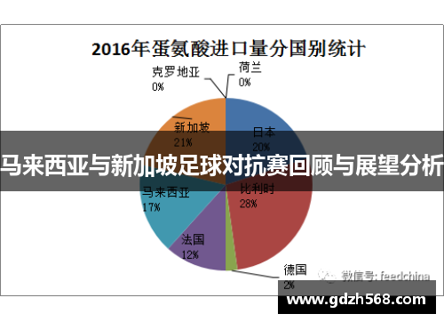 马来西亚与新加坡足球对抗赛回顾与展望分析