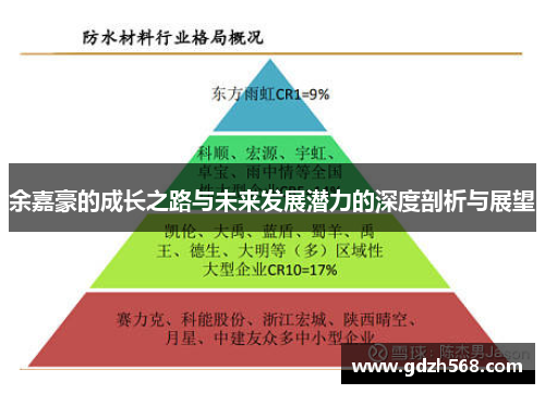 余嘉豪的成长之路与未来发展潜力的深度剖析与展望